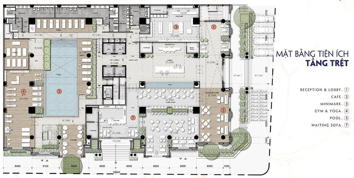 Mặt bằng dự án căn hộ chung cư The Alleys Quận Bình Tân Đường Lê Văn Quới chủ đầu tư TTL Group