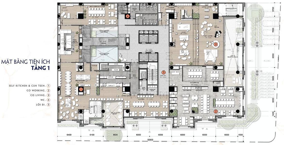 Mặt bằng dự án căn hộ chung cư The Alleys Quận Bình Tân Đường Lê Văn Quới chủ đầu tư TTL Group
