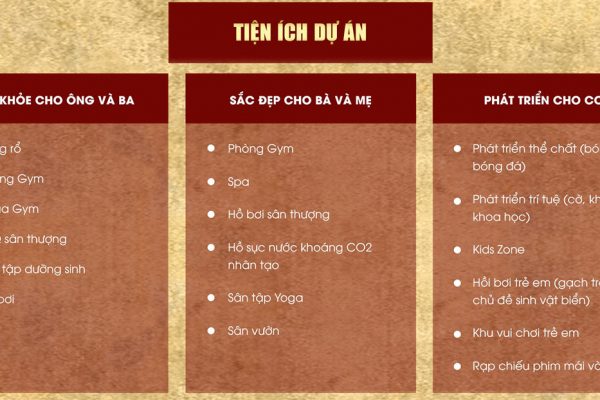 Tiện ích dự án căn hộ chung cư D Homme Quận 6 Đường Hồng Bàng chủ đầu tư DHA