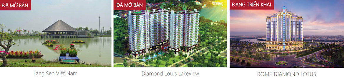 Chủ đầu tư dự án căn hộ chung cư Diamond Lotus Riverside Quận 8 Đường Lê Quang Kim