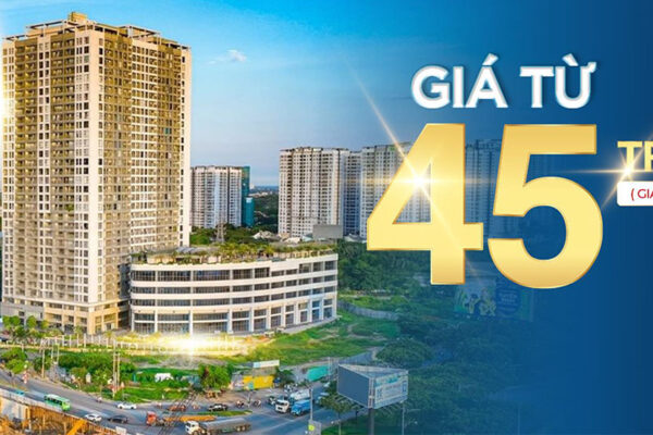 Bảng giá dự án căn hộ chung cư Lavida Plus Quận 7